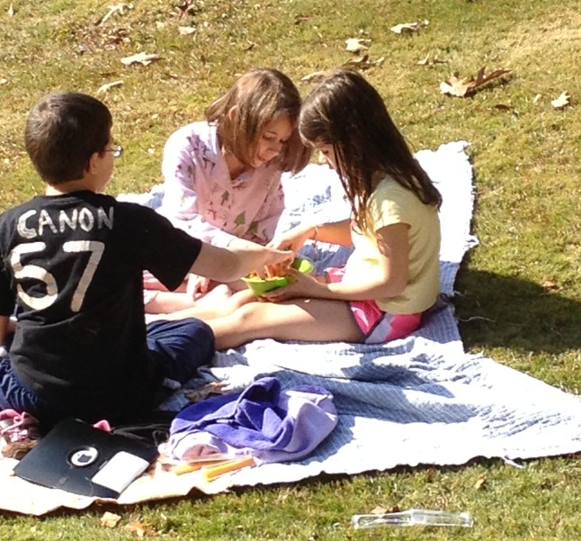 A picnic in the front yard!